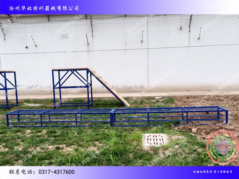 山東禹城警犬訓(xùn)練03.jpg 山東禹城警犬訓(xùn)練03.jpg